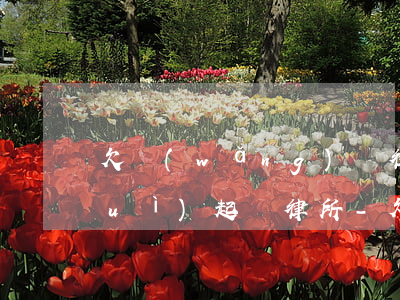 欠網(wǎng)貸律師函來了多久會(huì)起訴律所-欠網(wǎng)貸律師函來了多久會(huì)起訴律所呢