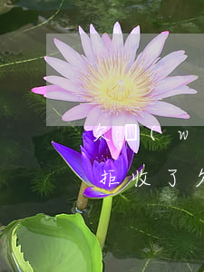 欠網(wǎng)貸律師函發(fā)到家拒收了(欠網(wǎng)貸律師函發(fā)到家拒收了)