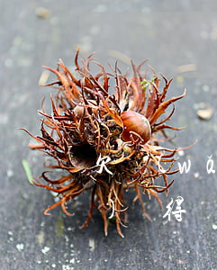 欠網(wǎng)貸得絕癥(欠網(wǎng)貸得絕癥)