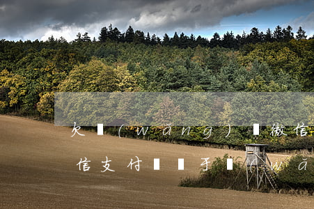 欠網(wǎng)貸微信和支付寶能用嗎(微信支付寶屬于網(wǎng)貸嗎)