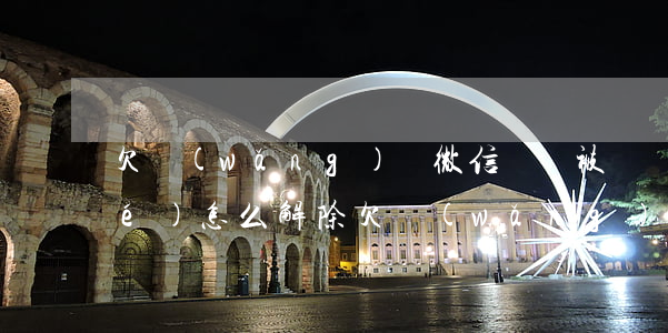 欠網(wǎng)貸微信帳號被凍結(jié)怎么解除(欠網(wǎng)貸錢微信被凍結(jié)了怎么解封)