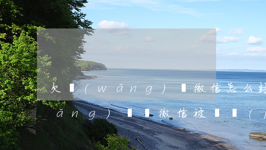 欠網(wǎng)貸微信怎么封了(欠網(wǎng)貸錢微信被凍結(jié)了怎么解封)