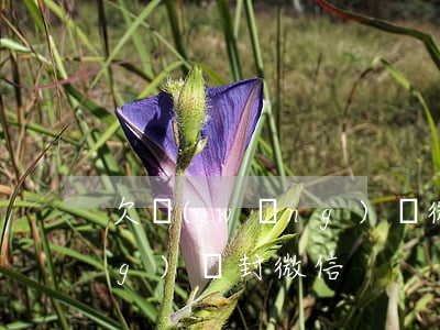 欠網(wǎng)貸 微信被登(欠網(wǎng)貸封微信)