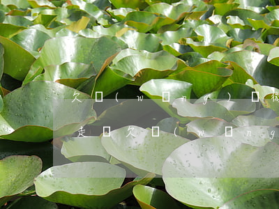 欠網(wǎng)貸微信錢會(huì)扣走嗎(欠網(wǎng)貸微信的錢會(huì)被拿走嗎)