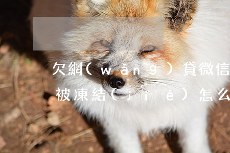 欠網(wǎng)貸微信零錢(qián)被凍結(jié)怎么辦(欠網(wǎng)貸銀行卡凍結(jié)了,微信零錢(qián)可以凍結(jié)嗎)