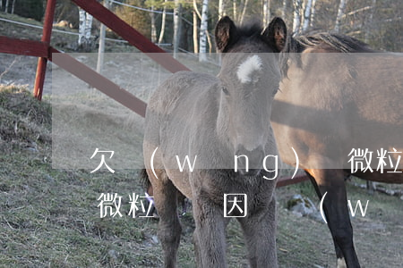 欠網(wǎng)貸微粒貸信用卡會被停嗎(微粒貸會因為網(wǎng)貸多而關(guān)閉嗎)
