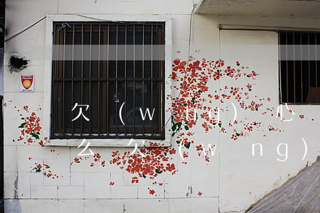 欠網(wǎng)貸心態(tài)崩潰怎么辦(欠網(wǎng)貸心理崩潰了)