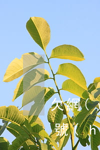 欠網(wǎng)貸忘記還了手機(jī)號(hào)換了(網(wǎng)貸還清后換手機(jī)號(hào))