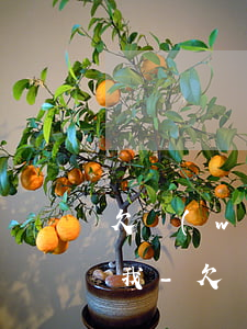 欠網(wǎng)貸快一年了為什么沒起訴我-欠網(wǎng)貸快一年了為什么沒起訴我呢