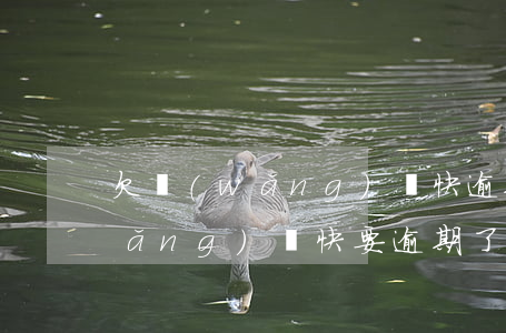 欠網(wǎng)貸快逾期了 以貸還(網(wǎng)貸快要逾期了)