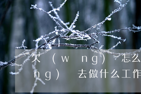 欠網(wǎng)貸怎么上班-欠網(wǎng)貸去做什么工作