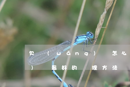 欠網(wǎng)貸怎么倒(欠網(wǎng)貸最好的處理方法)