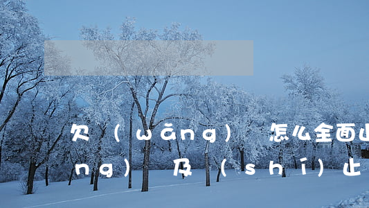 欠網(wǎng)貸怎么全面止損(網(wǎng)貸及時(shí)止損)