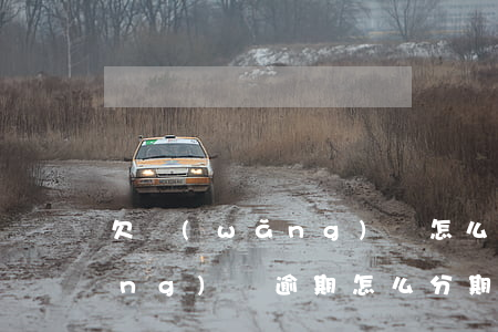 欠網(wǎng)貸怎么分期還款(網(wǎng)貸逾期怎么分期還款)
