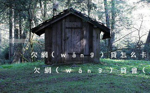 欠網(wǎng)貸怎么卡里錢直接被扣了(欠網(wǎng)貸會(huì)從別的銀行卡上扣錢嗎)