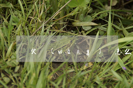 欠網(wǎng)貸怎么去備案