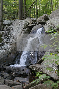欠網(wǎng)貸怎么和家人說(怎么給家人說欠了網(wǎng)貸)