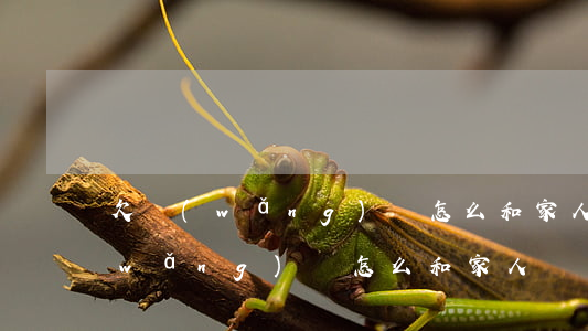 欠網(wǎng)貸怎么和家人說話(欠網(wǎng)貸怎么和家人說話)