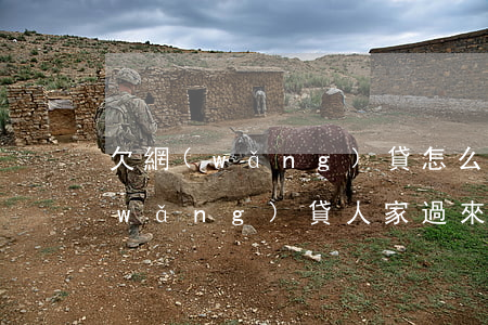 欠網(wǎng)貸怎么和家里溝通(欠網(wǎng)貸人家過來找怎么辦)