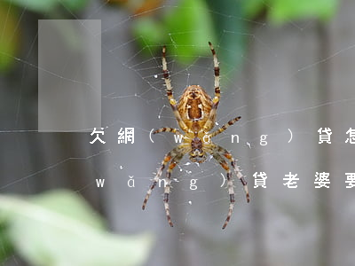 欠網(wǎng)貸怎么和老婆說(欠了網(wǎng)貸老婆要和我離婚)