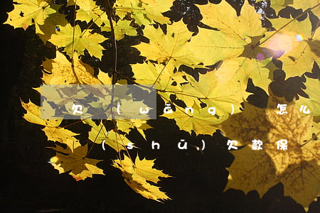 欠網(wǎng)貸怎么寫(xiě)保證書(shū)(欠款保證書(shū)怎么寫(xiě)?)