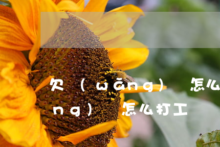 欠網(wǎng)貸怎么打工還(欠網(wǎng)貸怎么打工還)