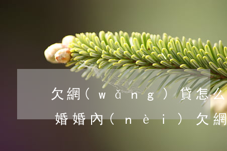 欠網(wǎng)貸怎么找證據(jù)離婚(婚內(nèi)欠網(wǎng)貸離婚怎么處理)