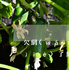 欠網(wǎng)貸怎么把父母的卡凍結(jié)了(網(wǎng)貸不還父母銀行卡會(huì)被凍結(jié)嗎)