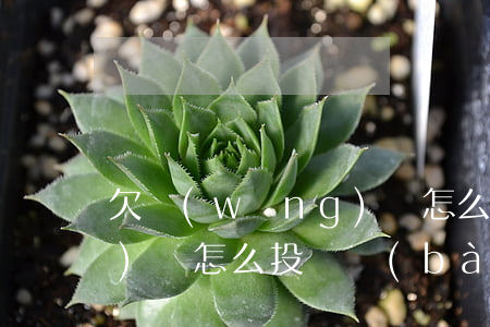 欠網(wǎng)貸怎么投訴(網(wǎng)貸怎么投訴報(bào)警)