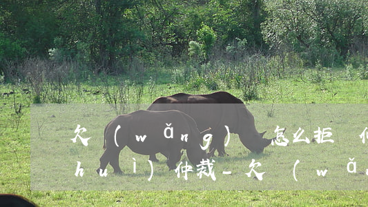 欠網(wǎng)貸怎么拒絕仲裁委員會(huì)仲裁-欠網(wǎng)貸怎么拒絕仲裁委員會(huì)仲裁呢