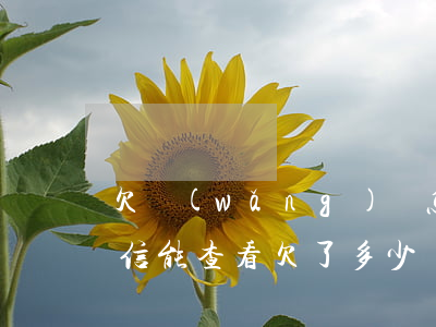 欠網(wǎng)貸怎么查詢自己的征信(征信能查看欠了多少網(wǎng)貸么)