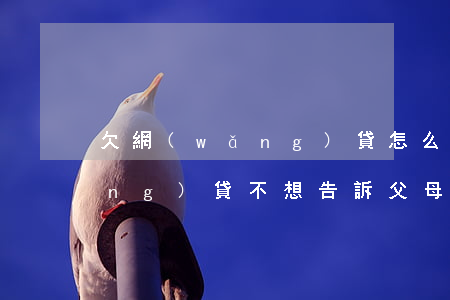 欠網(wǎng)貸怎么自救(欠了網(wǎng)貸不想告訴父母如何自救)