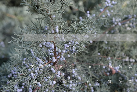 欠網(wǎng)貸怎么處理好(怎么樣處理網(wǎng)貸欠款)