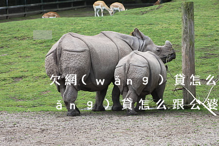 欠網(wǎng)貸怎么跟公婆說(欠網(wǎng)貸怎么跟公婆說)