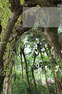 欠網(wǎng)貸怎么跟爸媽坦白(網(wǎng)貸欠太多怎么跟父母坦白)