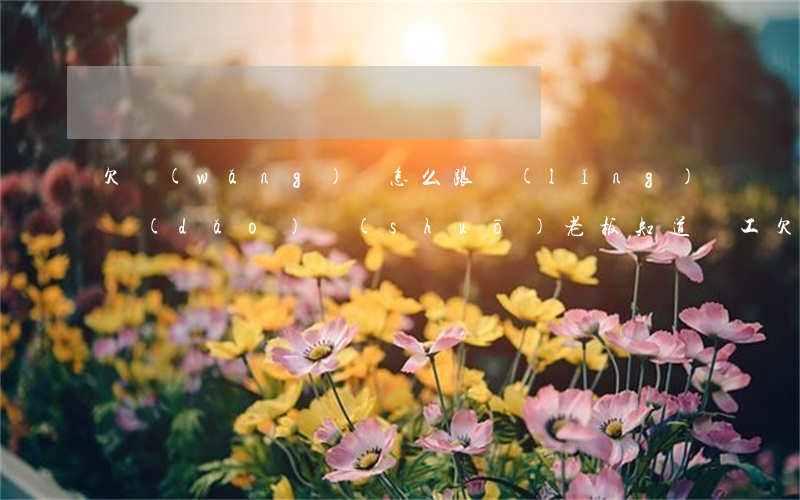 欠網(wǎng)貸怎么跟領(lǐng)導(dǎo)說(shuō)(老板知道員工欠網(wǎng)貸)