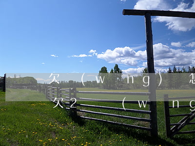 欠網(wǎng)貸怎么辦教你四兩撥千斤(欠2萬網(wǎng)貸怎么辦)