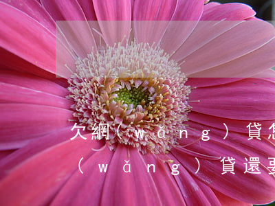 欠網(wǎng)貸怎么還在哪里還(欠的網(wǎng)貸還要還嗎)