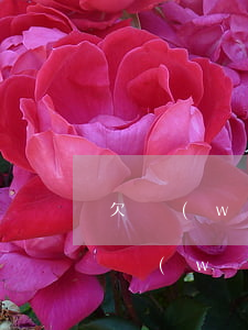 欠網(wǎng)貸怎么開口向親戚借錢(欠網(wǎng)貸找親戚借能借嗎)
