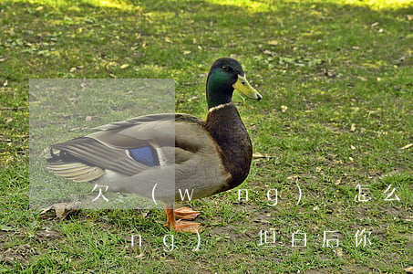 欠網(wǎng)貸怎么開口坦白(欠網(wǎng)貸坦白后你們都怎么樣了)