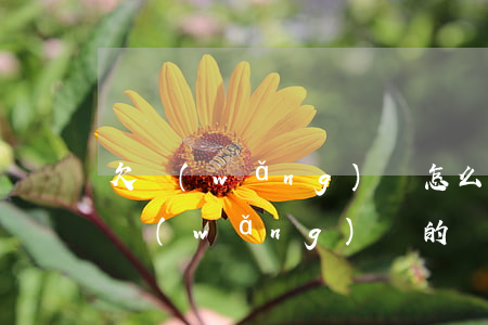 欠網(wǎng)貸怎么面對(duì)(欠網(wǎng)貸的親身經(jīng)歷)