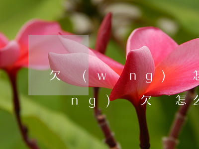 欠網(wǎng)貸怎樣和家人坦白(網(wǎng)貸欠錢怎么跟家里人坦白)
