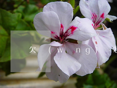 欠網(wǎng)貸怎樣會被爆通訊錄