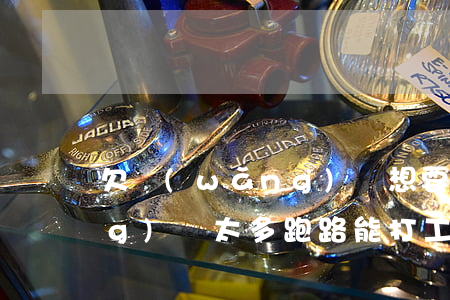 欠網(wǎng)貸想要跑路(欠網(wǎng)貸太多跑路能打工嗎)