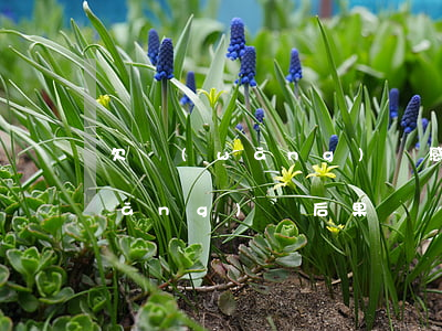 欠網(wǎng)貸感覺要崩潰了(欠網(wǎng)貸后果)