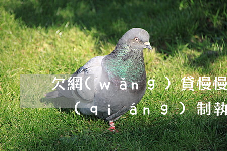 欠網(wǎng)貸慢慢還會(huì)被強(qiáng)制執(zhí)行嗎(欠網(wǎng)貸的錢會(huì)被強(qiáng)制執(zhí)行嗎)