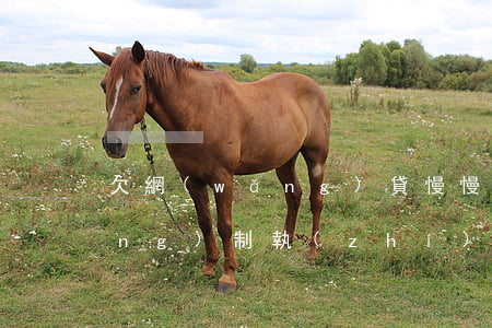 欠網(wǎng)貸慢慢還會被強(qiáng)制執(zhí)行嗎(欠網(wǎng)貸的錢會被強(qiáng)制執(zhí)行嗎)