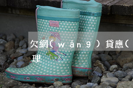 欠網(wǎng)貸應(yīng)怎么處理