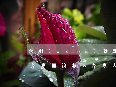欠網(wǎng)貸應(yīng)該怎么給家里說(怎么給家人說欠了網(wǎng)貸)