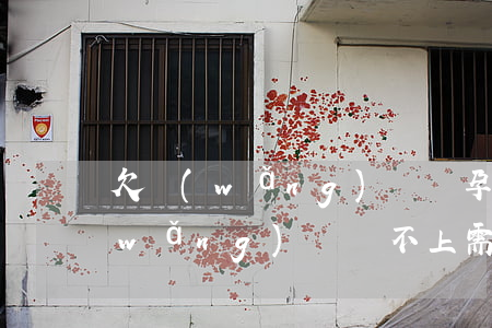 欠網(wǎng)貸懷孕沒錢還(孕婦欠網(wǎng)貸還不上需要承擔(dān)什么責(zé)任)